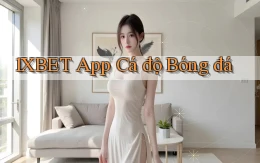 1xbet app cá độ bóng đá