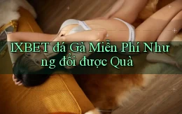 1xbet  đá gà miễn phí nhưng đổi được quà