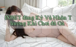 1xbet  đăng ký và nhận thưởng khi chơi đá gà