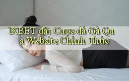 1xbet  đặt cược đá gà qua website chính thức