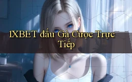 1xbet  đấu gà cược trực tiếp
