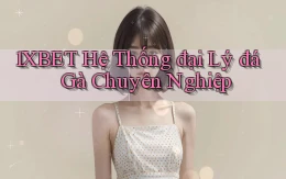 1xbet  hệ thống đại lý đá gà chuyên nghiệp