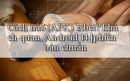 Cách nào (APK) 1xbet khách quan, Android 14 phiên bản chuẩn