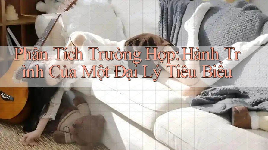 Phân Tích Trường Hợp: Hành Trình Của Một Đại Lý Tiêu Biểu Phân Tích Trường Hợp: Hành Trình Của Một Đại Lý Tiêu Biểu