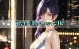 Trận đấu Cược VIP