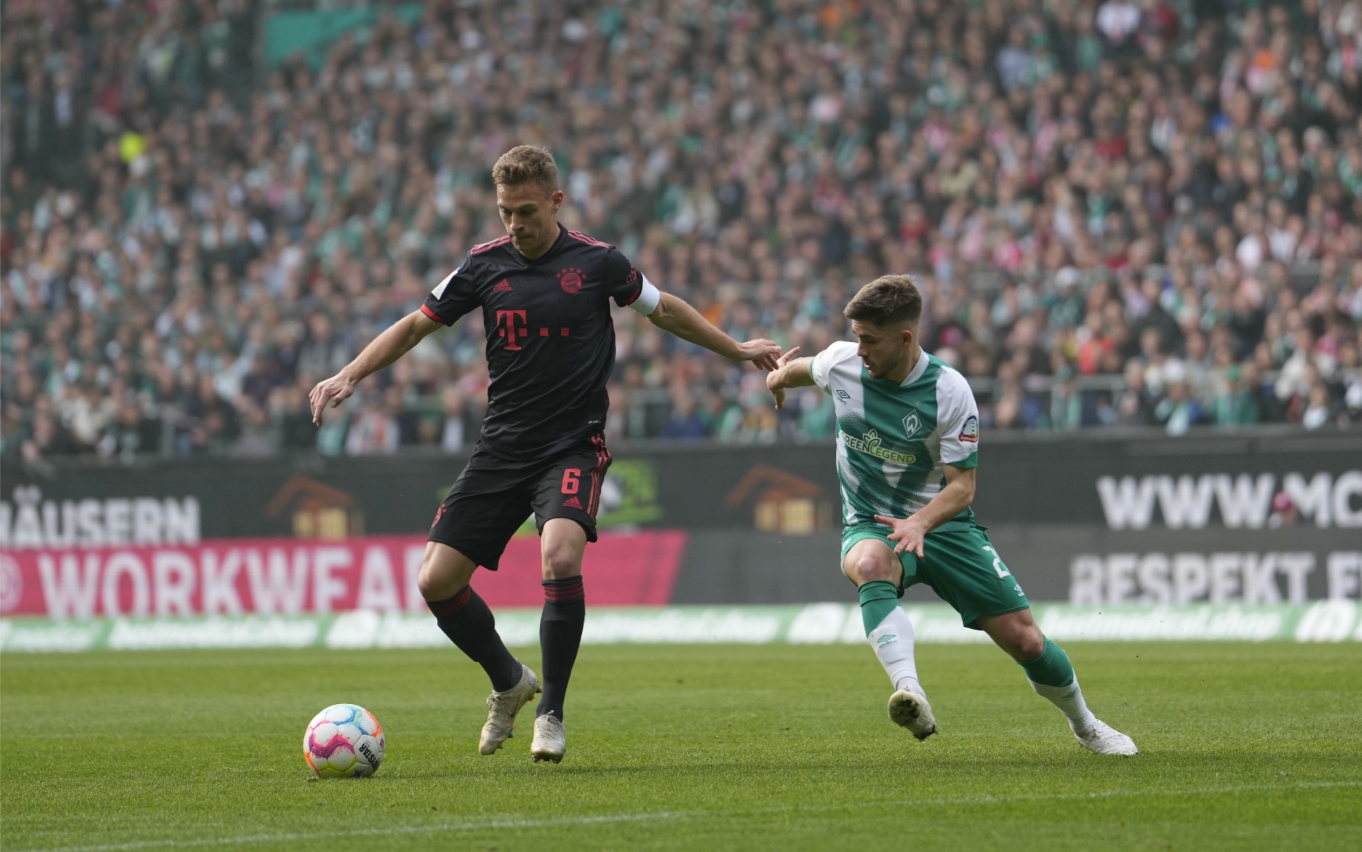 全力以赴 全力以赴